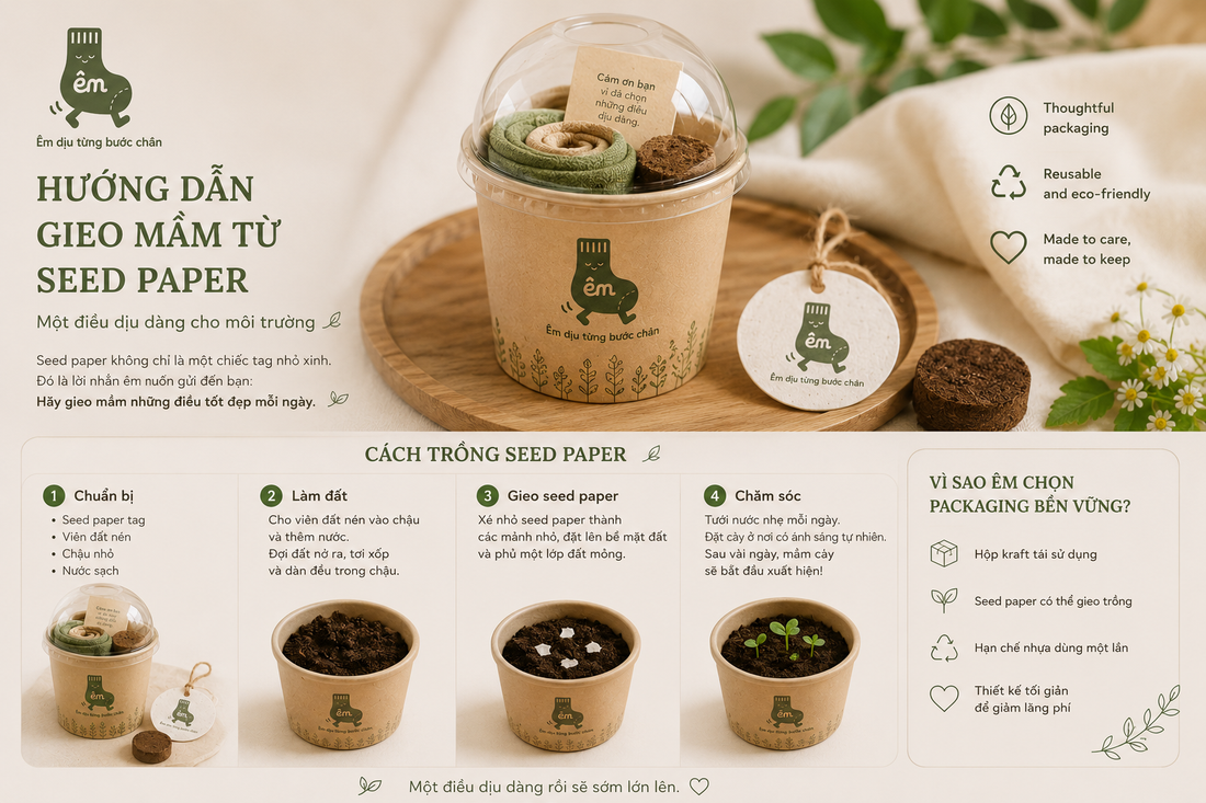 HƯỚNG DẪN GIEO MẦM TỪ SEED PAPER — MỘT ĐIỀU DỊU DÀNG CHO MÔI TRƯỜNG